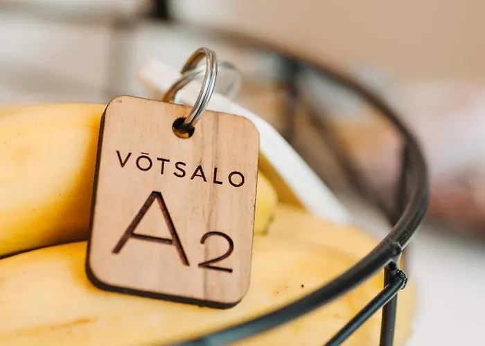 Votsalo Cozy